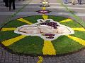 00 - Infiorata 2008 (9)